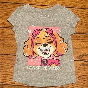 Jumping Beans Gray Pink Paw Patrol Cartoon Graphic Tee NWOT